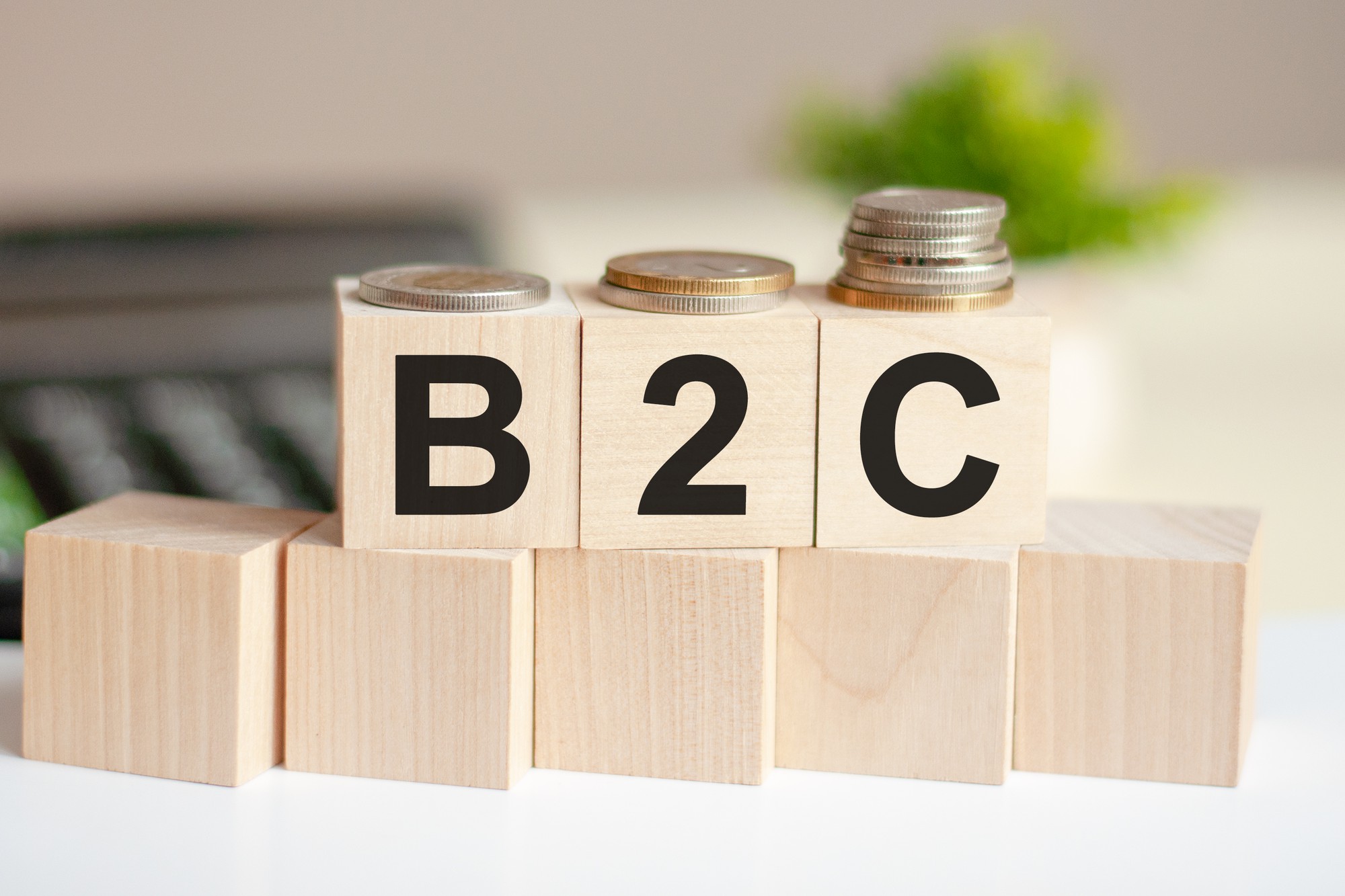  B2C Business to Consumer